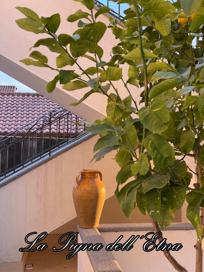La Pigna Dell'Etna Apartment Nicolosi Ngoại thất bức ảnh