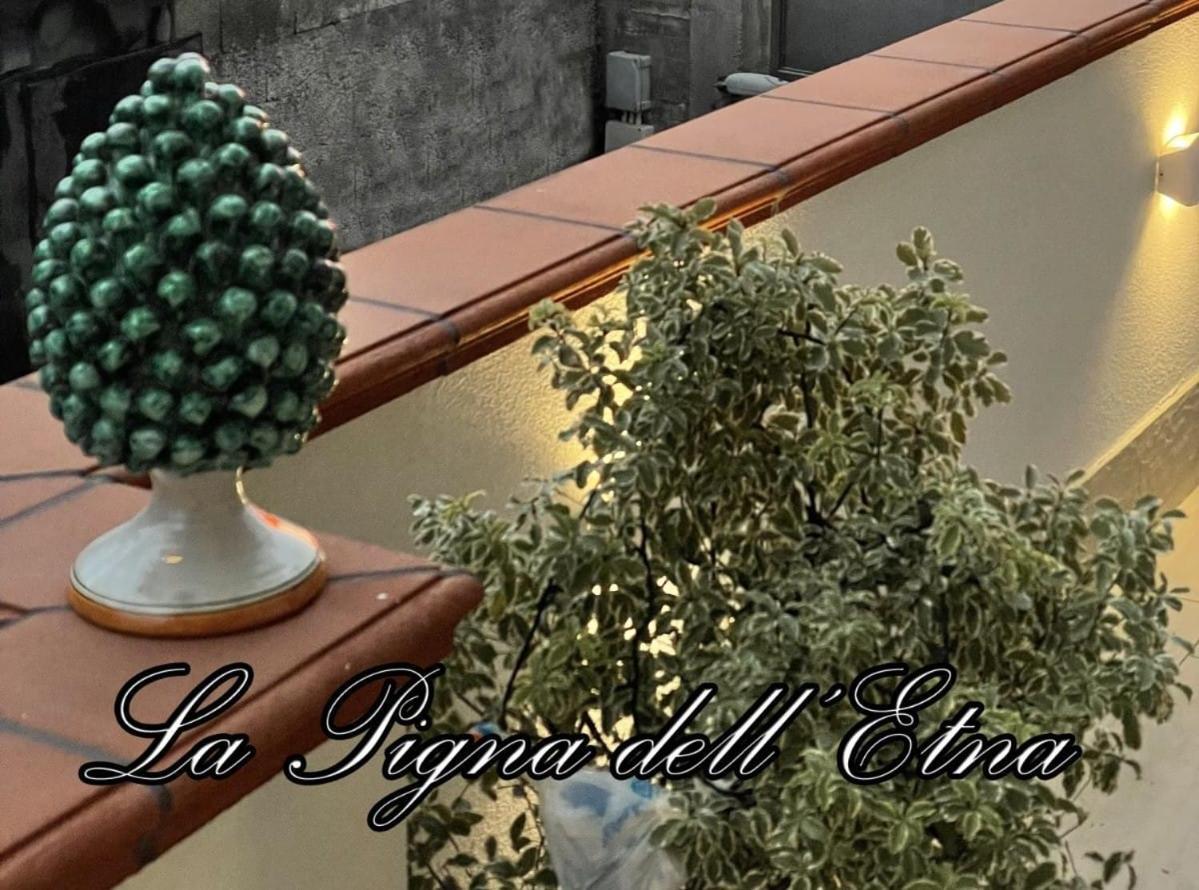 La Pigna Dell'Etna Apartment Nicolosi Ngoại thất bức ảnh