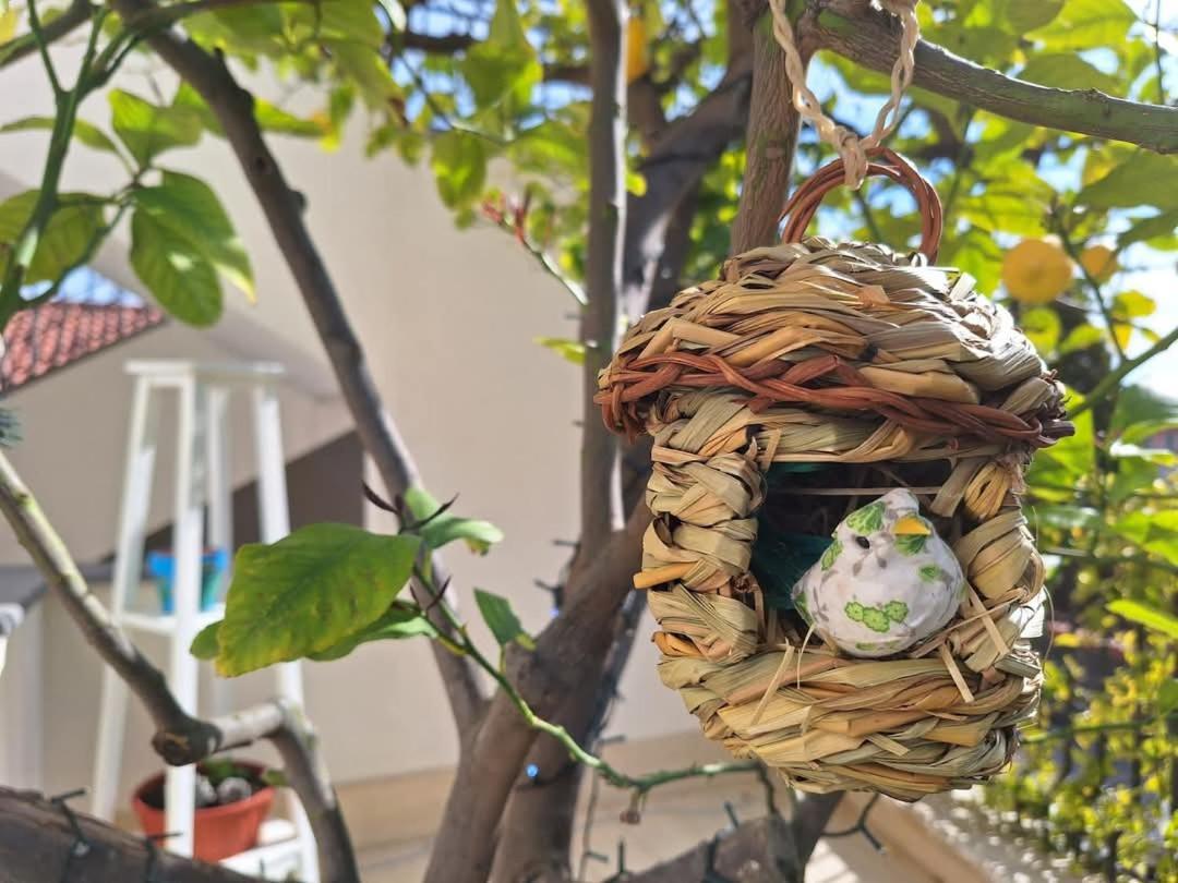 La Pigna Dell'Etna Apartment Nicolosi Ngoại thất bức ảnh
